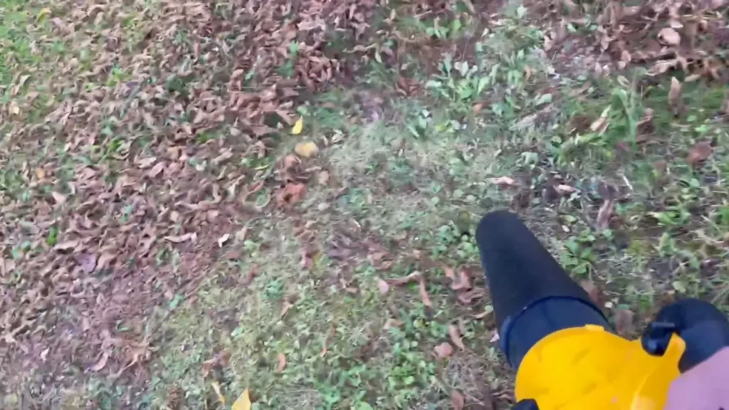 A DEWALT DCBL722B blower being used to clear dry leaves from a grassy area with some weeds, showing its effectiveness for yard cleanup for Smart AI Gears.