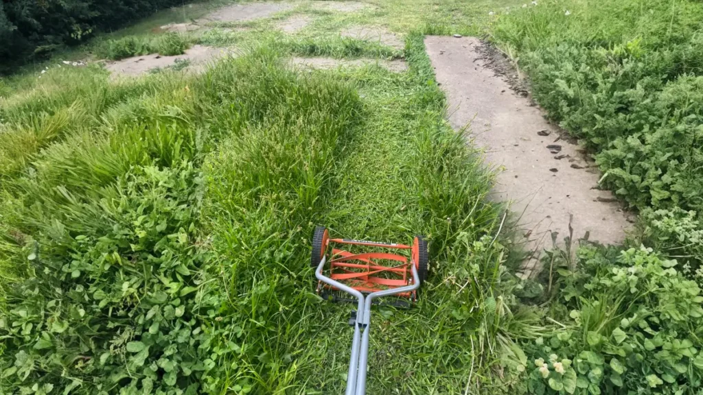A top-down view of an orange and silver manual push reel mower attempting to cut a path through very tall, overgrown green weeds and grass next to a concrete walkway.