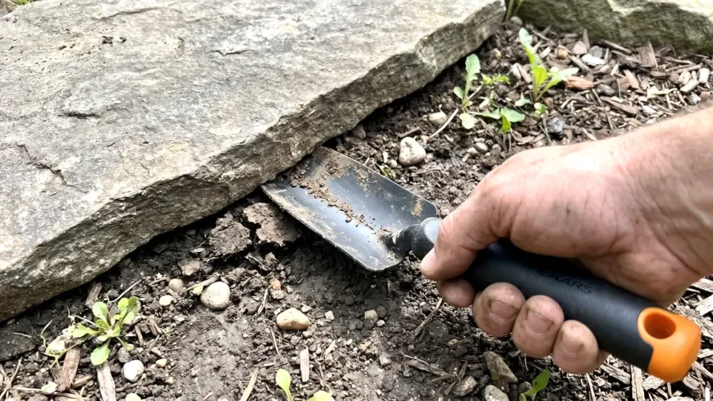 Aluminum transplanter wedged tightly under a heavy landscaping stone showing extreme physical tension.
