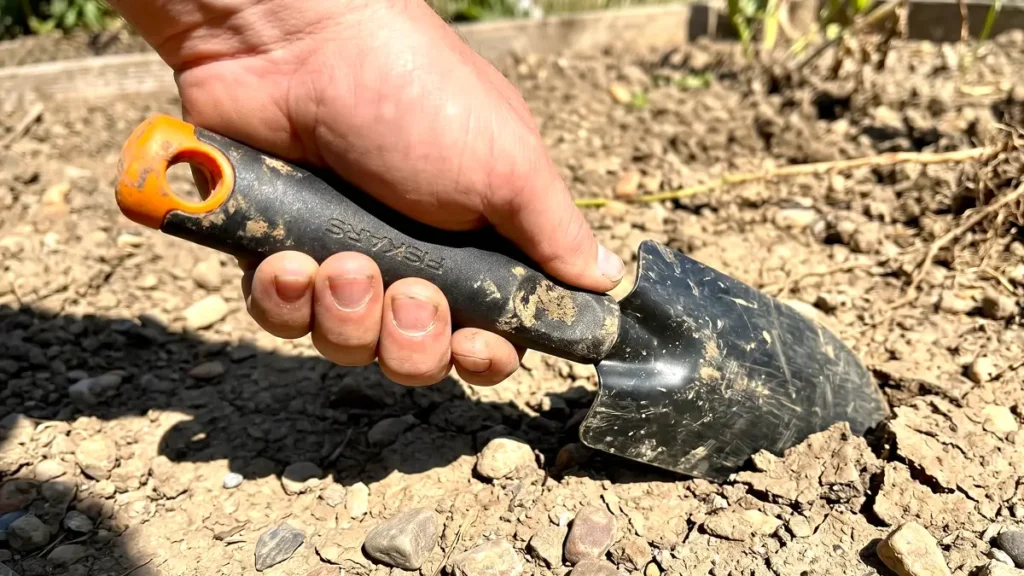 Hand driving a cast-aluminum trowel into rocky and compacted clay soil.